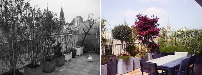 Aménagement paysager d'une terrasse avec vue à Paris