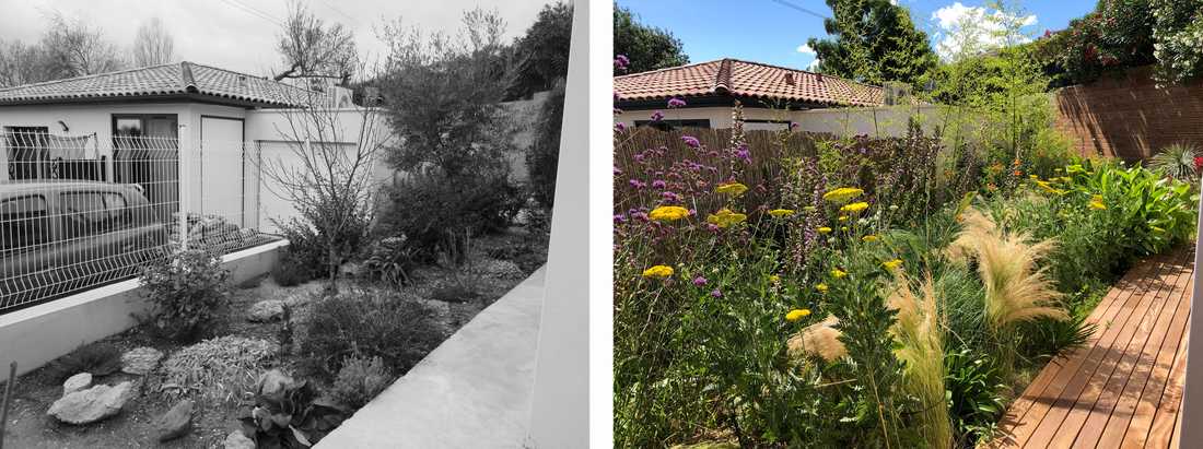 Avant-après de l'aménagement d'une petit jardin dans un lotissement par un paysagiste en Ile de France