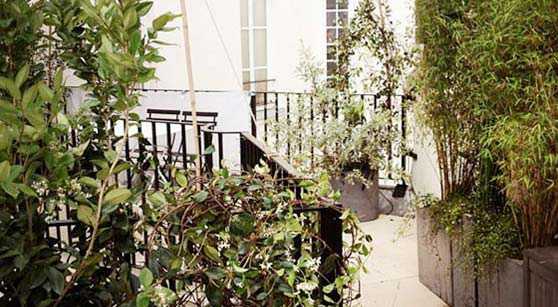 Photos avant - aprés de l'aménagement d'une terrasse à Paris par un jardinier paysagiste