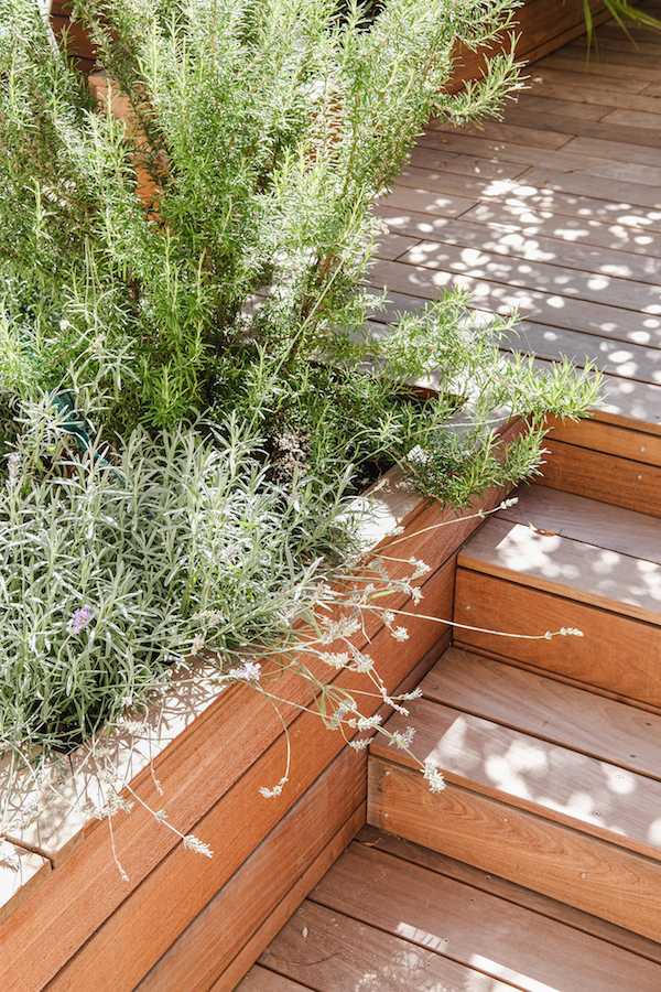 Aménagement d'une terrasse en bois - esprit méditérranéen - végétation méditéranéenne 