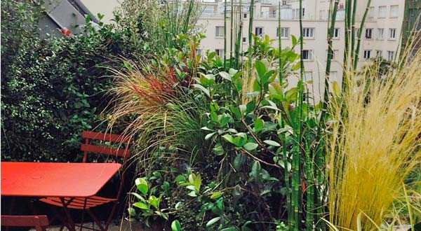 Avant aprés de la rénovation d'une terrasse sur un toit en zinc dans un appartement à Paris