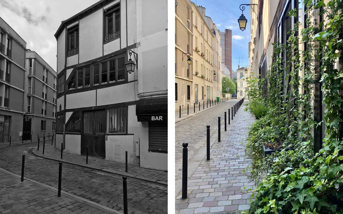 Avant-Après : Végétalisation des baies vitrées vue de l'extérieur