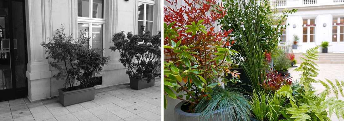 Un jardinier paysagiste aménage la cour intérieure d'un hôtel particulier à Paris