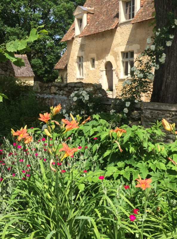Fleurs d'orangés dans un jardin en Ile de France