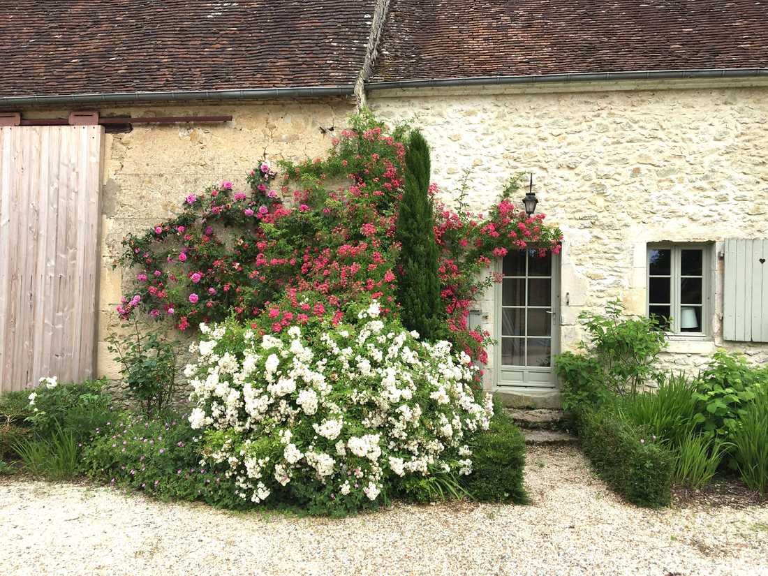 Jardin d'une maison ancienne à Paris