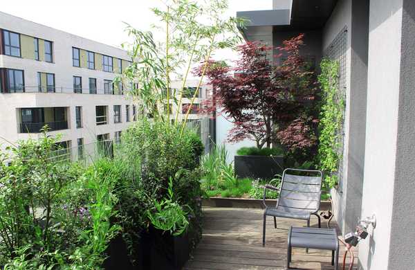 Aménagement paysager de la terrasse d'un penthouse à Paris.