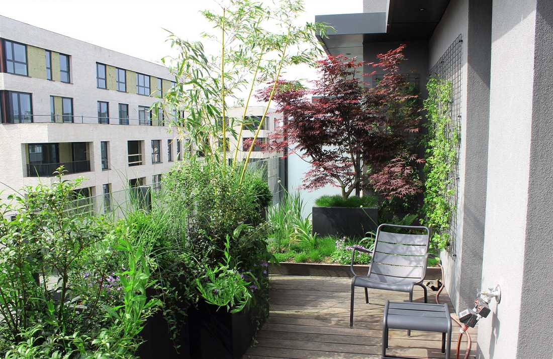 Aménagement paysager de la terrasse d'un penthouse à Paris