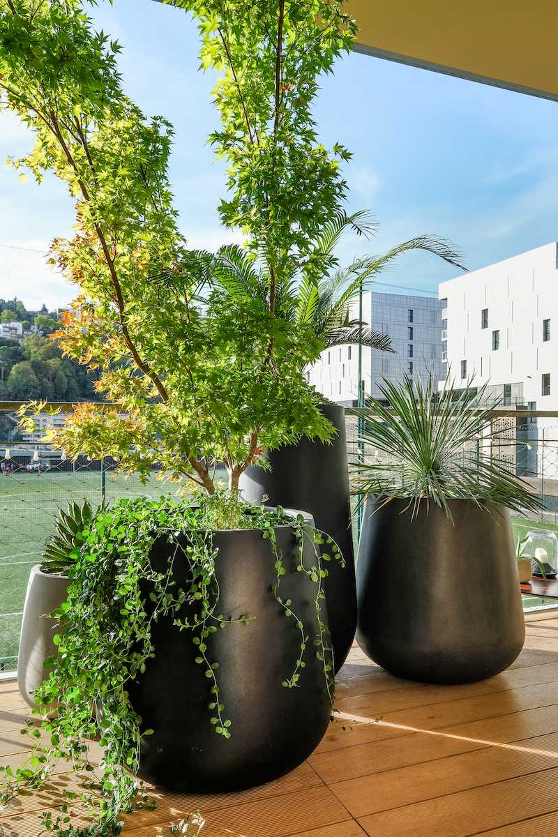 Optimisation et végétalisation d'une petite terrasse - le coin détente avec gros pot de plantes vertes