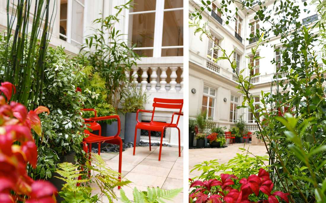 Aménagement paysager de la cour d'un hôtel particulier à Paris