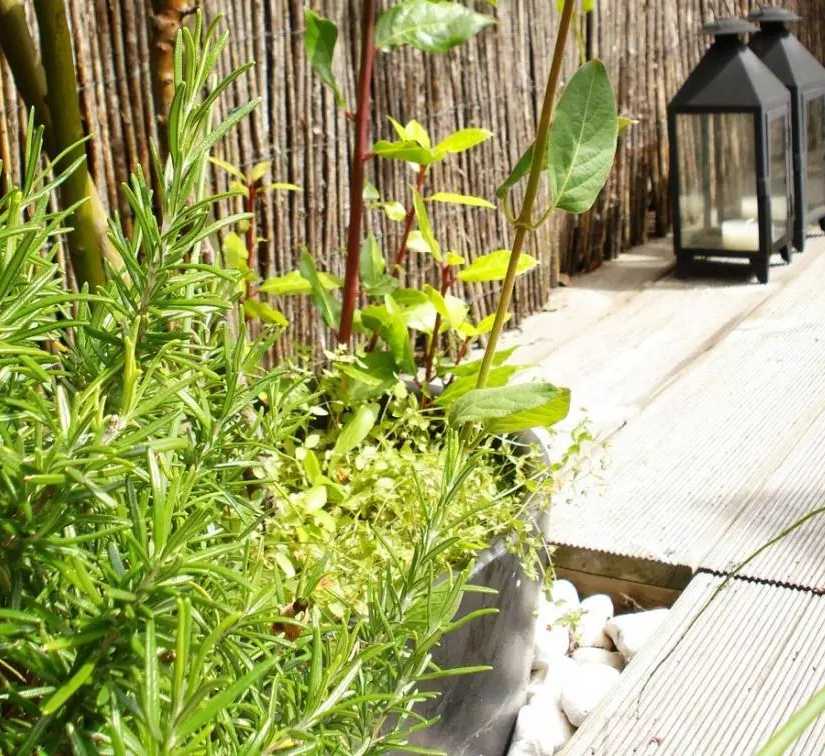 Végétalisation d'un toit-terrasse par un architece paysagiste en Ile de France