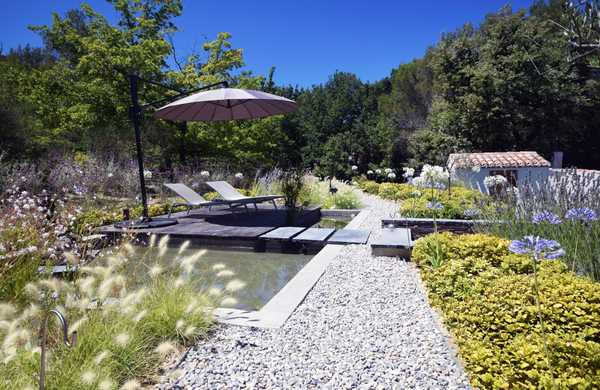 Mediterranean garden with swimming pool