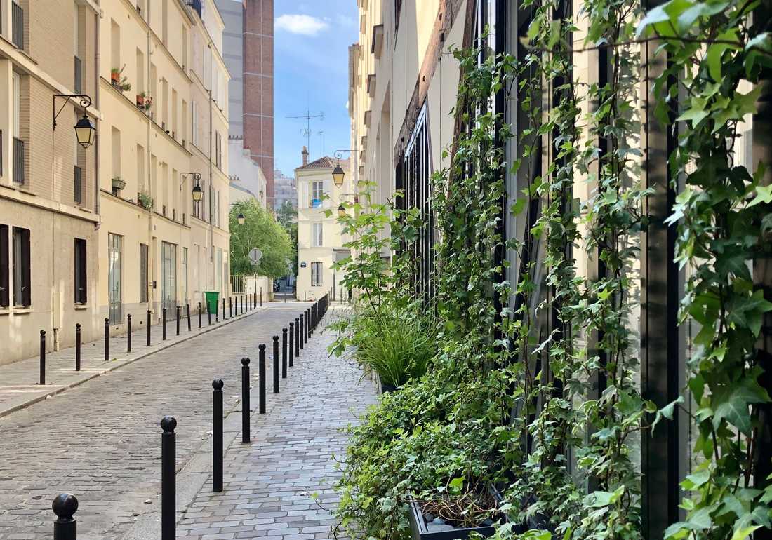 Baies vitrées façon atelier végétalisées avec des essences grimpantes