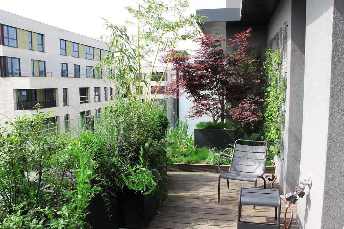 Landscaping of a penthouse terrace in Paris