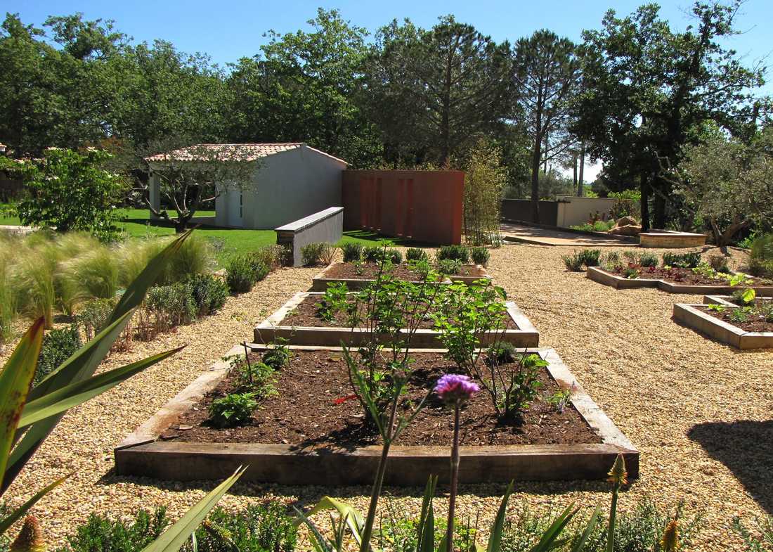 Potager méditerrannéen réalisé par un jardinier paysagiste à Paris