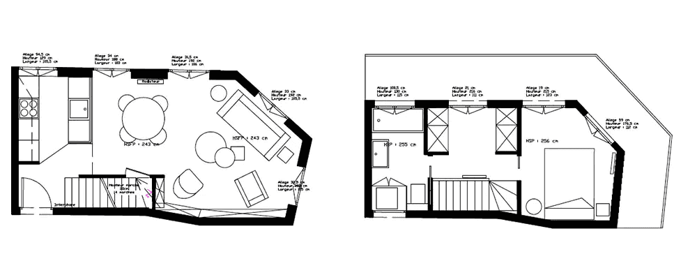 Plan de l'architecture intérieur d'un duplex à Paris