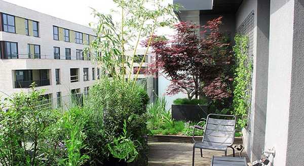 Aménagement de la terrasse d'un penthouse par un paysagiste à Paris