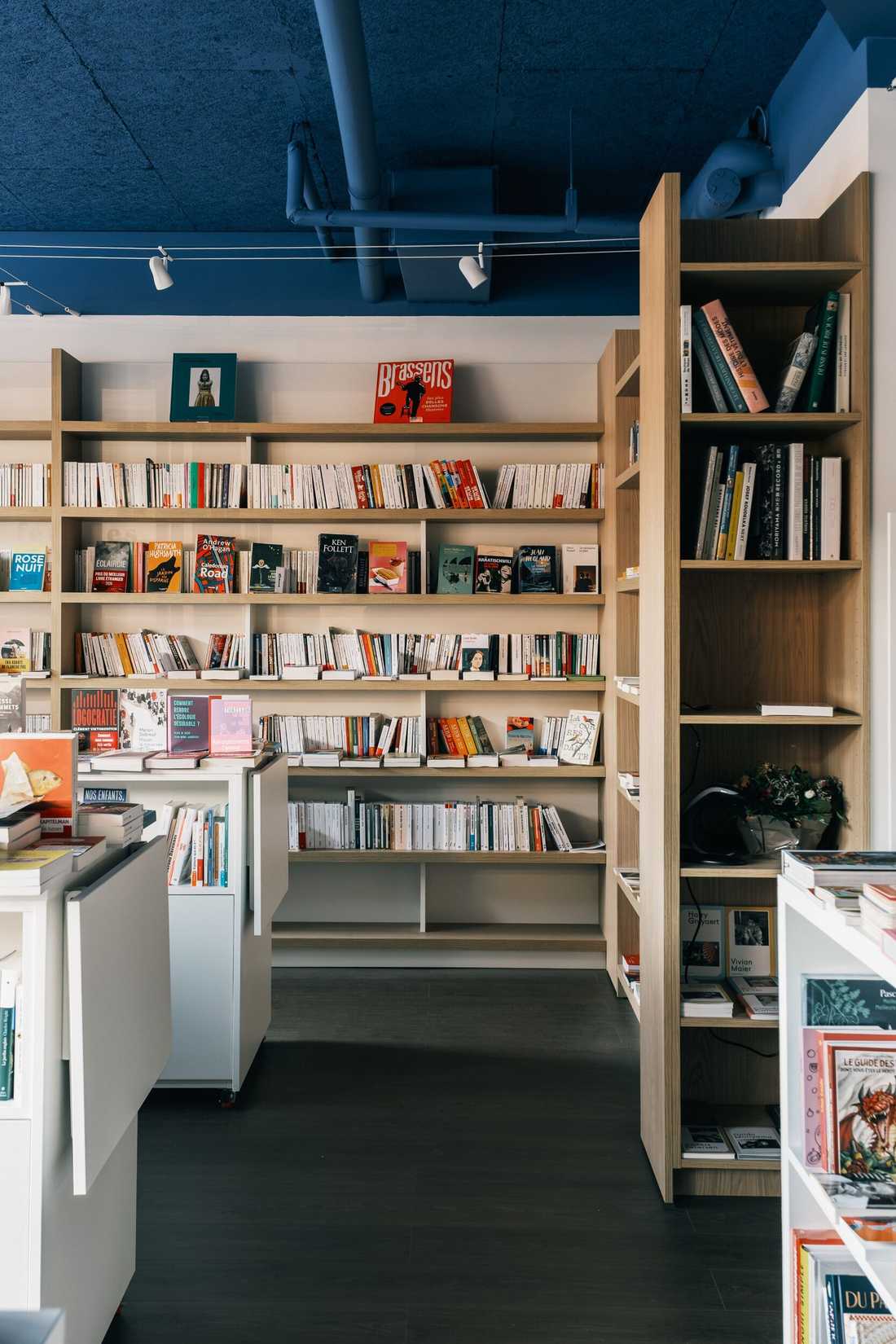 Aménagement d'une librairie à Paris 15 - Linéaire mural en bois et plafond bleu