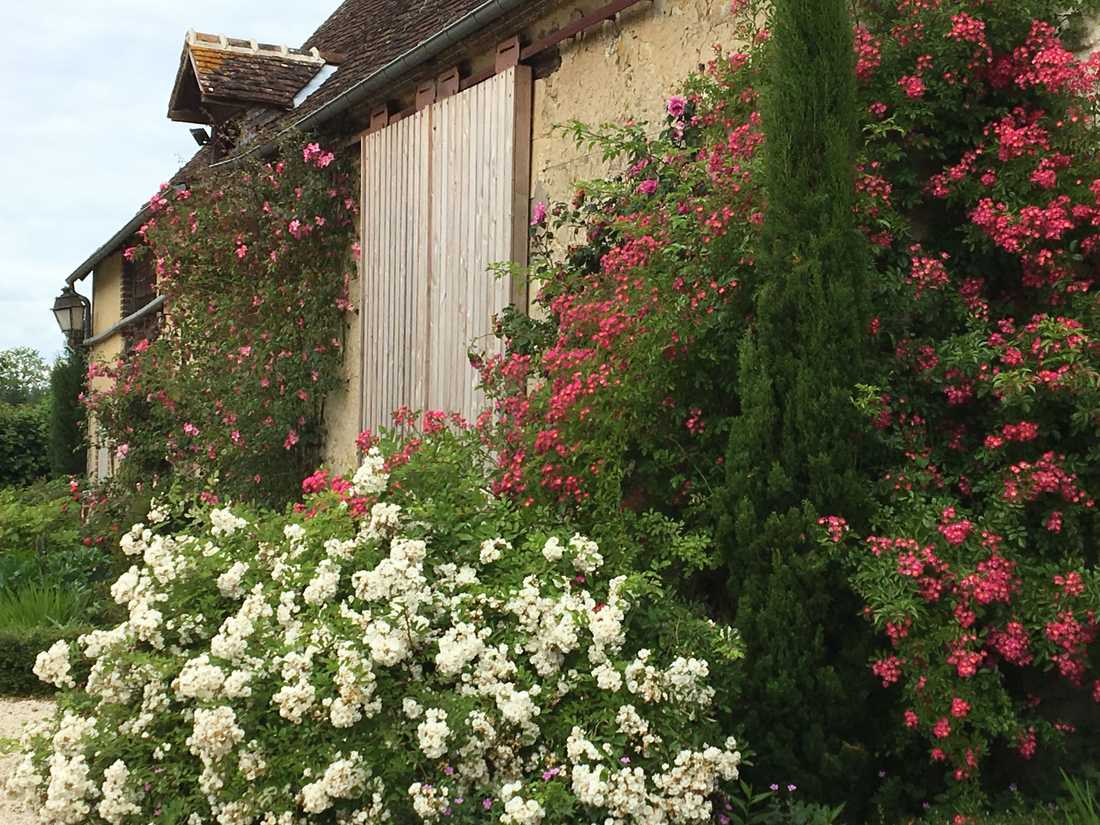 Création d'un jardin de villegiature pour une maison de 16e siecle